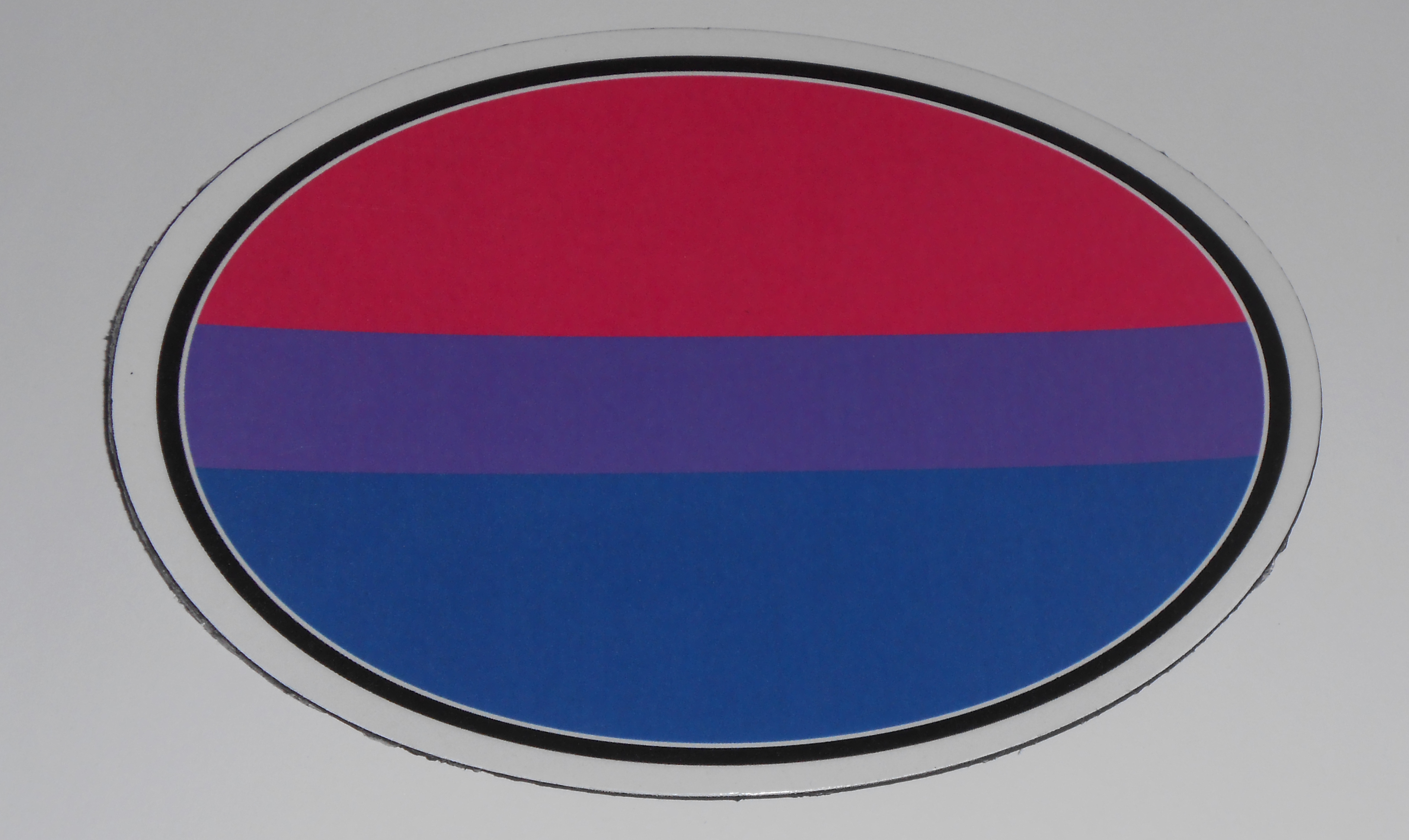 bi flag oval magnet